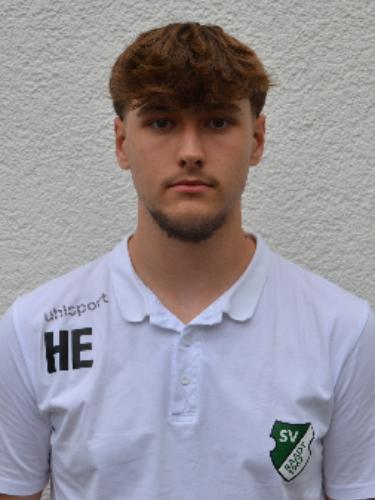 Henrik Ertel