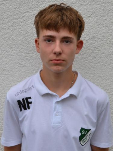 Nik Maximilian Fritz