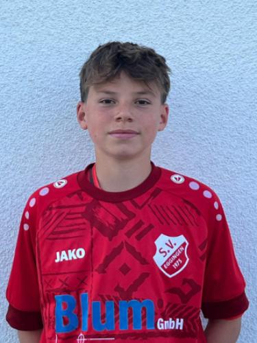 Vincent Hermann Englert