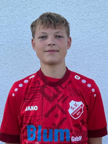 Niklas Levi Galler