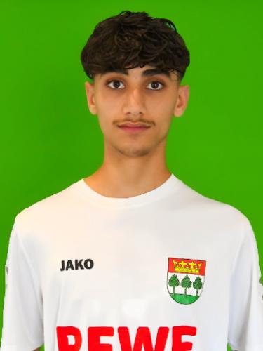 Ali Ali