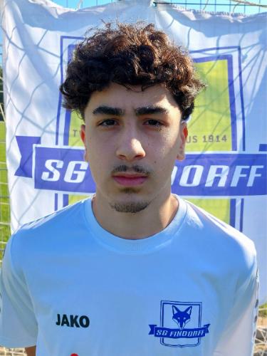 Taylan Özgür Arlier