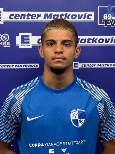 Nicolae Catalin Andreeseu