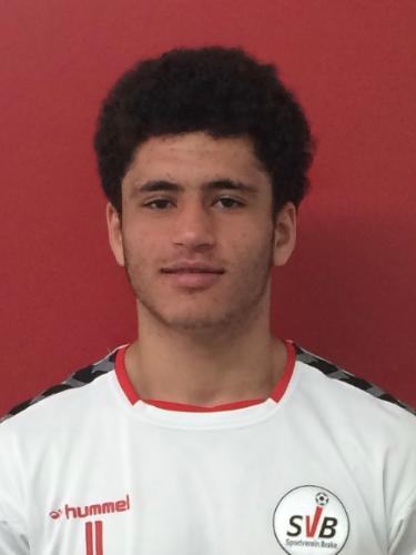 Mohammad Alahmad Almerie