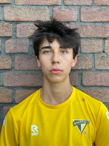 Tomo Egon Stiebeling