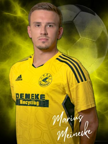 Marius Meineke