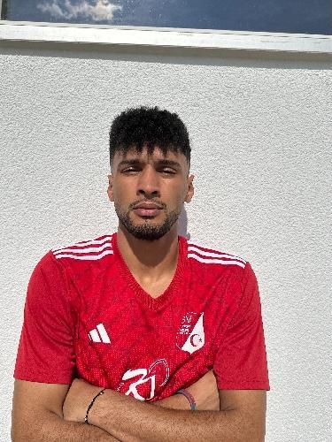 Mohamed Elsayed Elsherbini Elkennawi Elsherbini