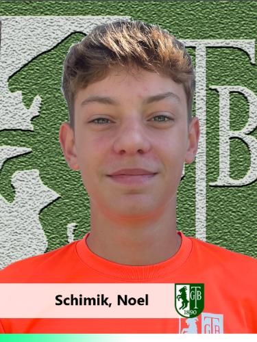Noel Schimik