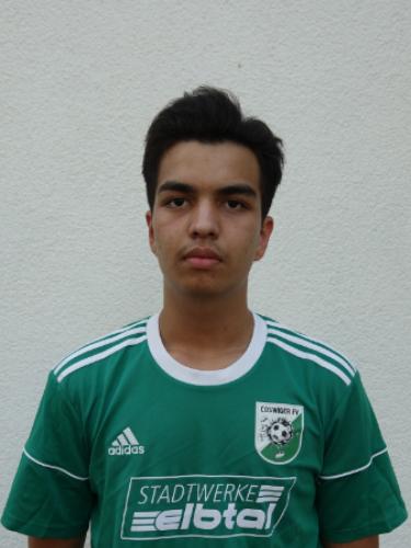 Ali Reza Hosseini