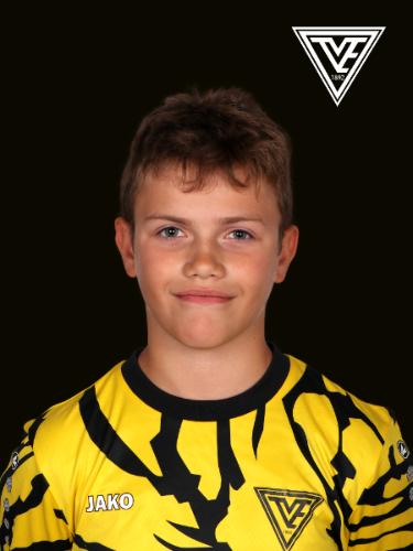 Niko Pilicic