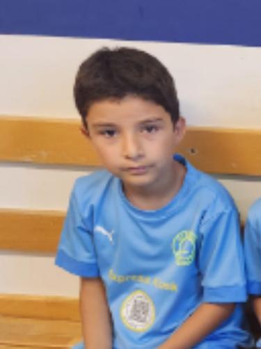 Mustafa Emin Varol