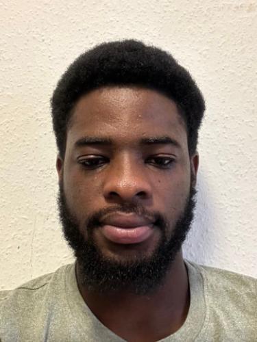 Luther-King Joshua Anim