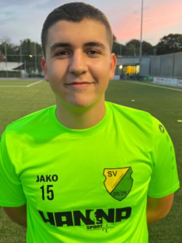 Luka Trajkovic