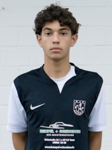 Raul Ignacio Medina Varela