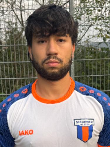 Alexandru Irinel Saceanu
