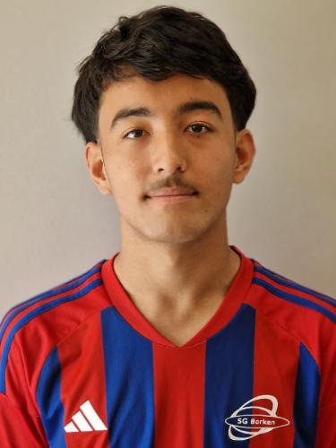 Amir Mohammad Mohseni