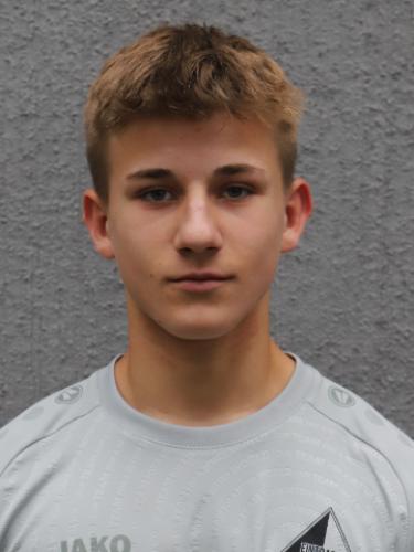 Leo Bibers