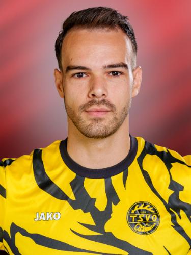 David Holzwarth