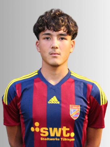 Sina Jafari