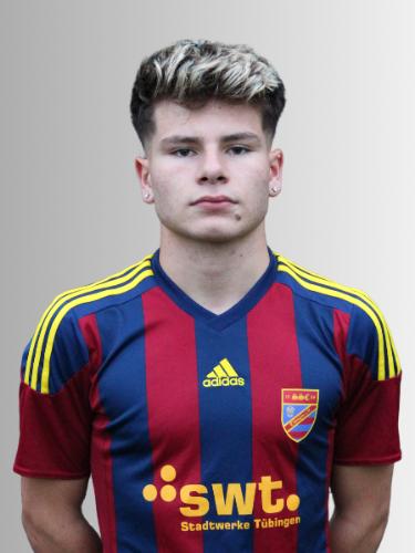 Adis Zulic