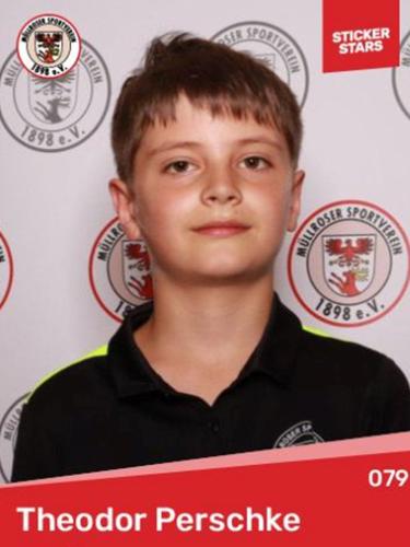 Theodor Perschke
