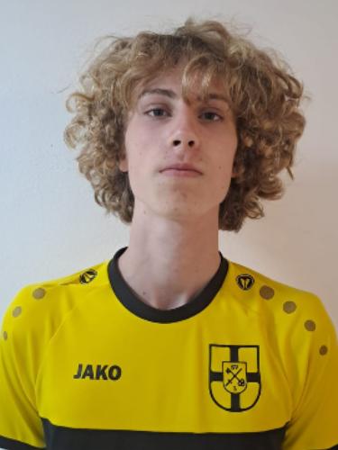 Nico Wiese
