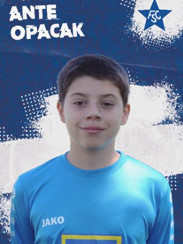 Ante Opacak