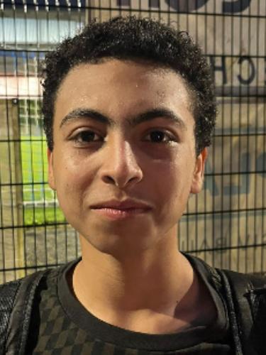 Mohamed Sobhi Mohamed Hassan Alfara