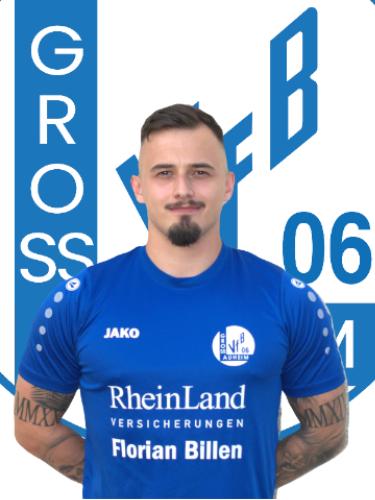 Nikola Trkulja