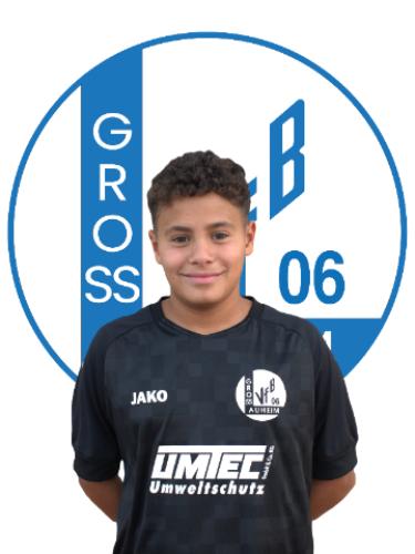 Mohamed Redouan Hamani