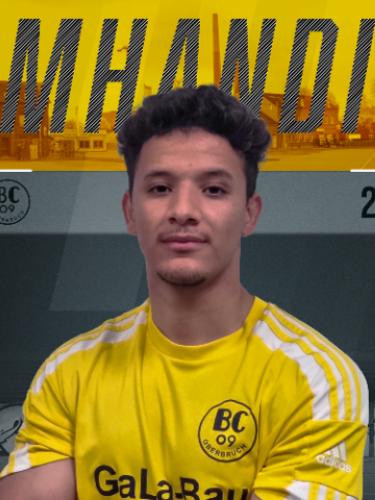Brahim M Hamdi Alaoui