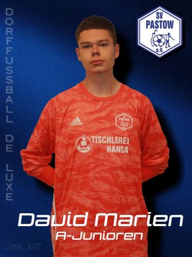 David Luca Marien