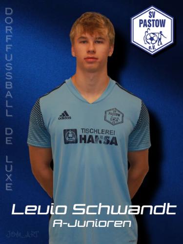 Levio Schwandt