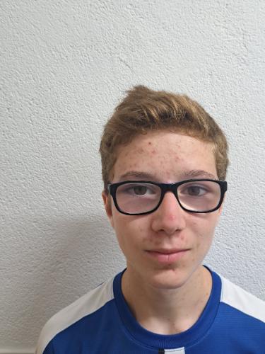 Fabrice Raul Heins