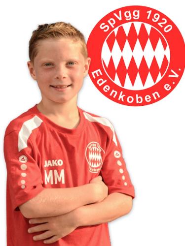 Mika Harald Mergenthaler