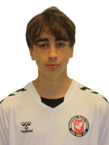 Theo Josef Schmeiser