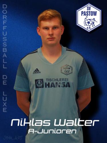 Niklas Walter