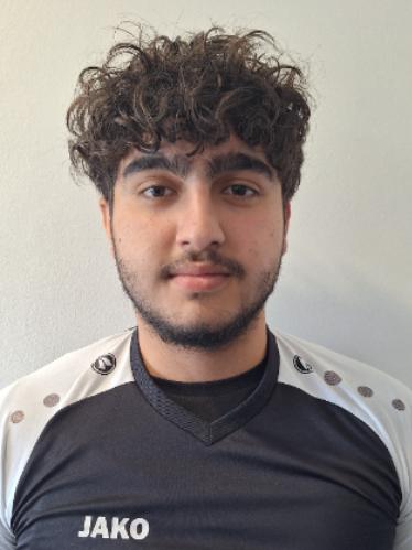 Mahmoud Ausman