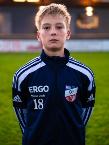Dominik Fulde