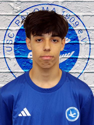 Gabriel Pinto Fernandes