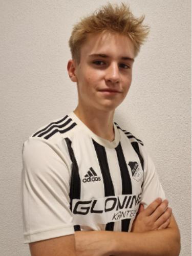 David Strauß