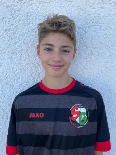 Johannes Fleckenstein