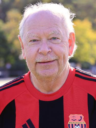 Heinz Brauer