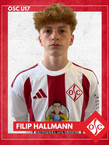Filip Hallmann