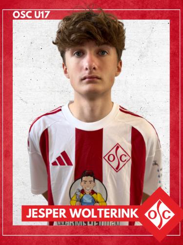 Jesper Luca Wolterink