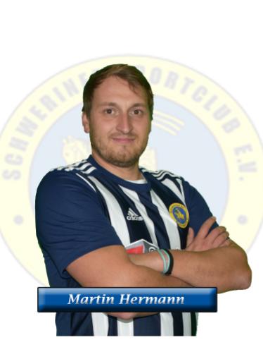 Martin Hermann