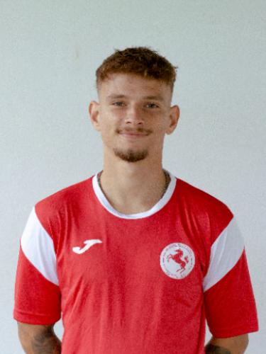 Tibor Doms