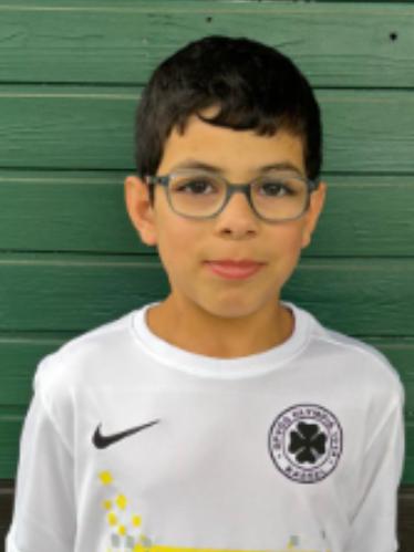 Amir Al Mohsen