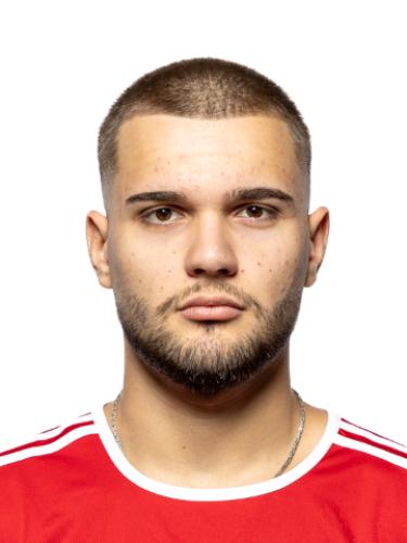 Nikola Sasa Novakovic