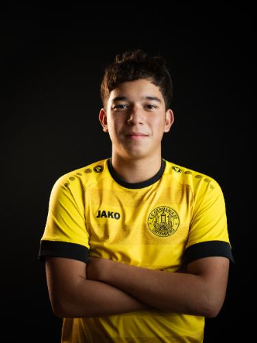 Damir Tarayao